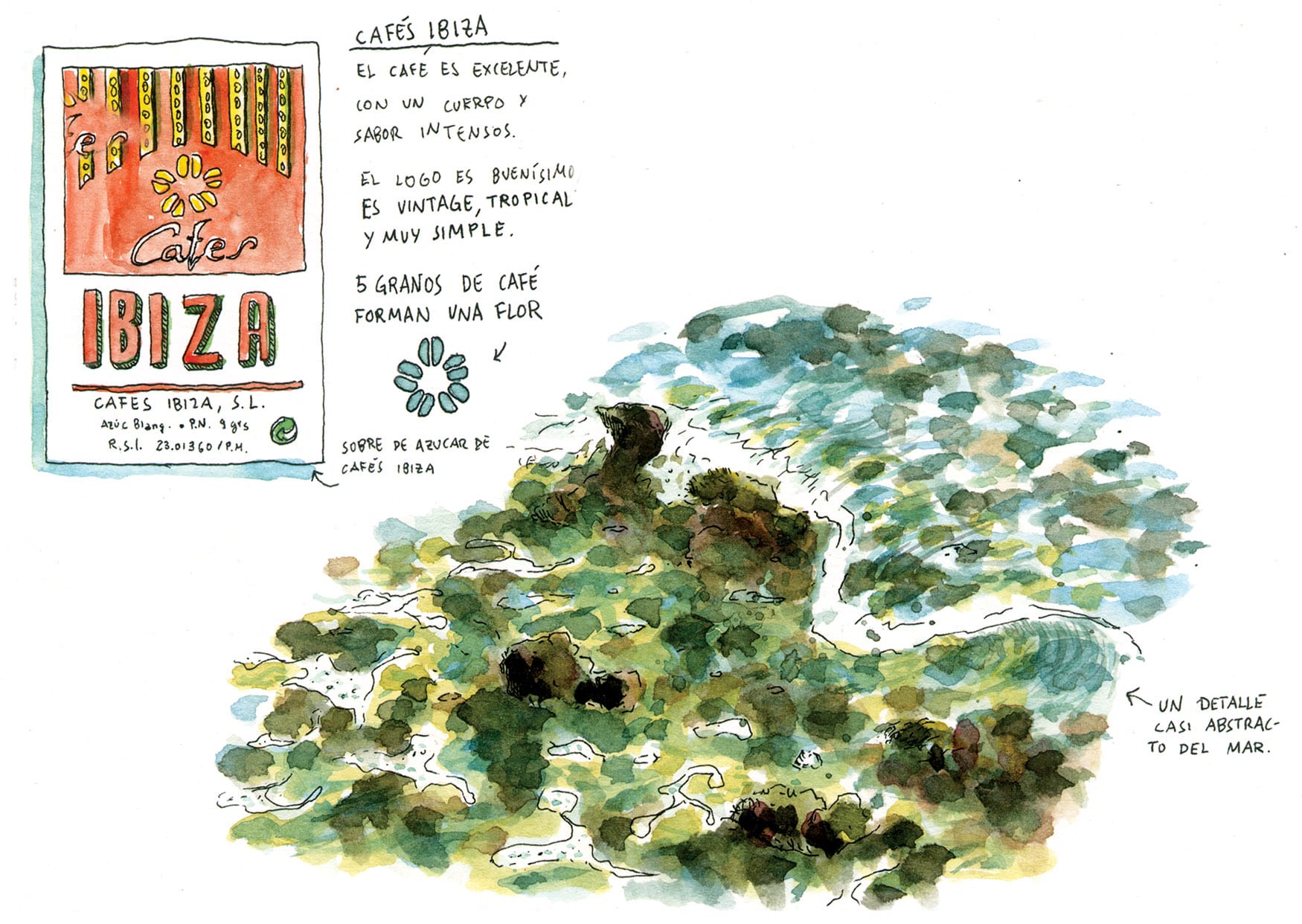 Watercolor drawing of a wave and the Cafés Ibiza logo.