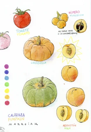 Acquerello originale in vendita all'asta marroiak frutta e chakra