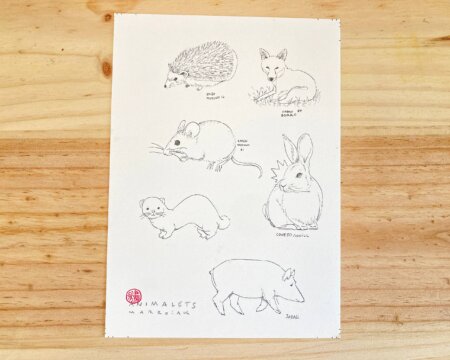 アニマレッツ BN オリジナルオークション