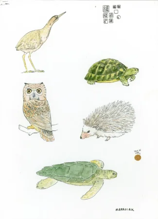Animalets