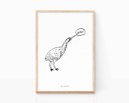 Decorative nature drawing with an illustration of a bittern bird. Drawings of animals and birds for children.