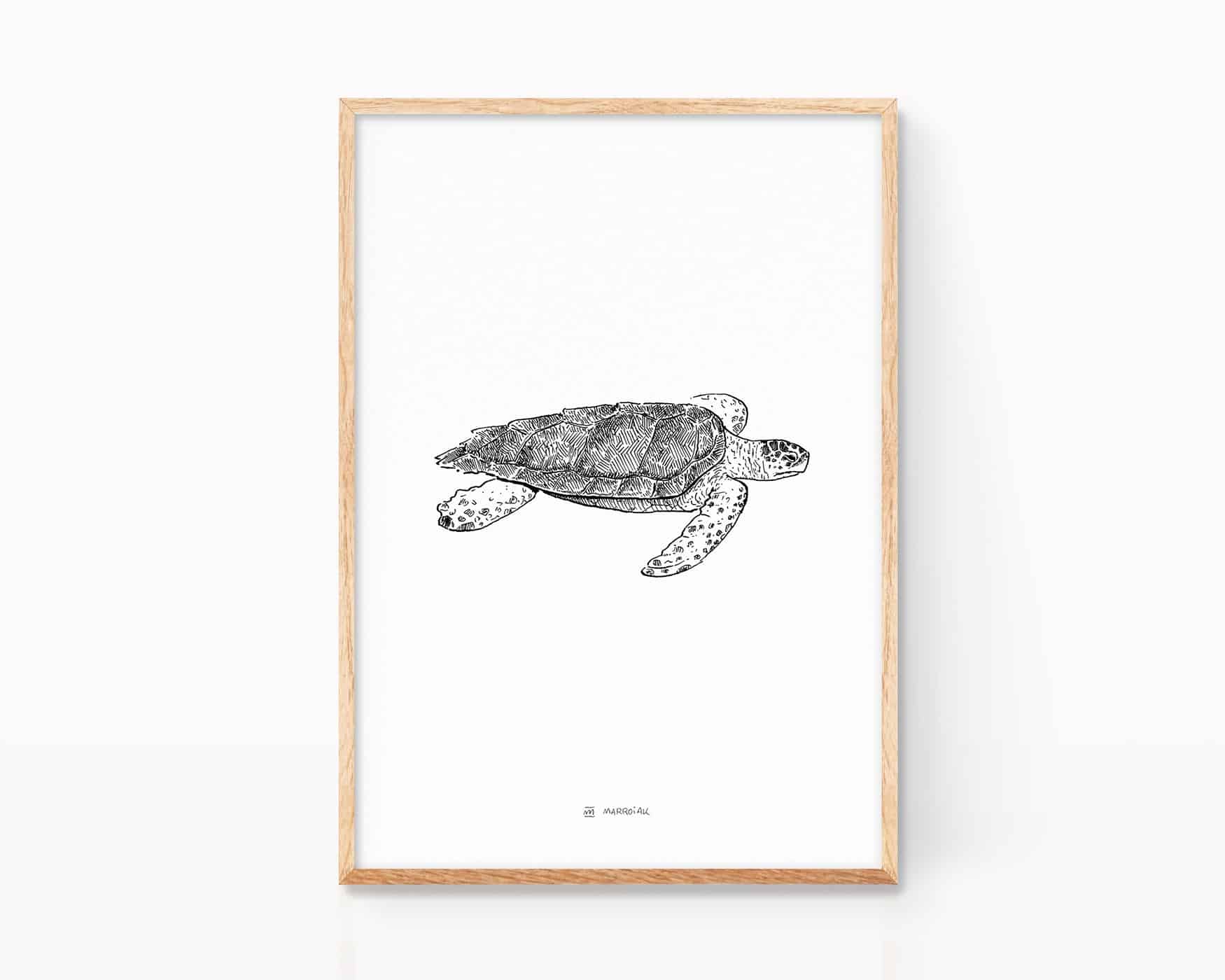 Afbeelding met een illustratie van een onechte karetschildpad (Caretta caretta). Print van bedreigde zeedieren. Middellandse Zee, Atlantische Oceaan