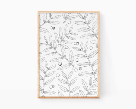 額装に最適な装飾的な植物画。キッチンにぴったりです。レンズクル（バレンシア語でlentisco）という低木の様々な葉や果実を手描きで描いた植物画。植物の装飾パターン。.