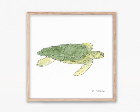 Quadro con disegno ad acquerello di una tartaruga marina Caretta caretta. Stampa di animali marini.