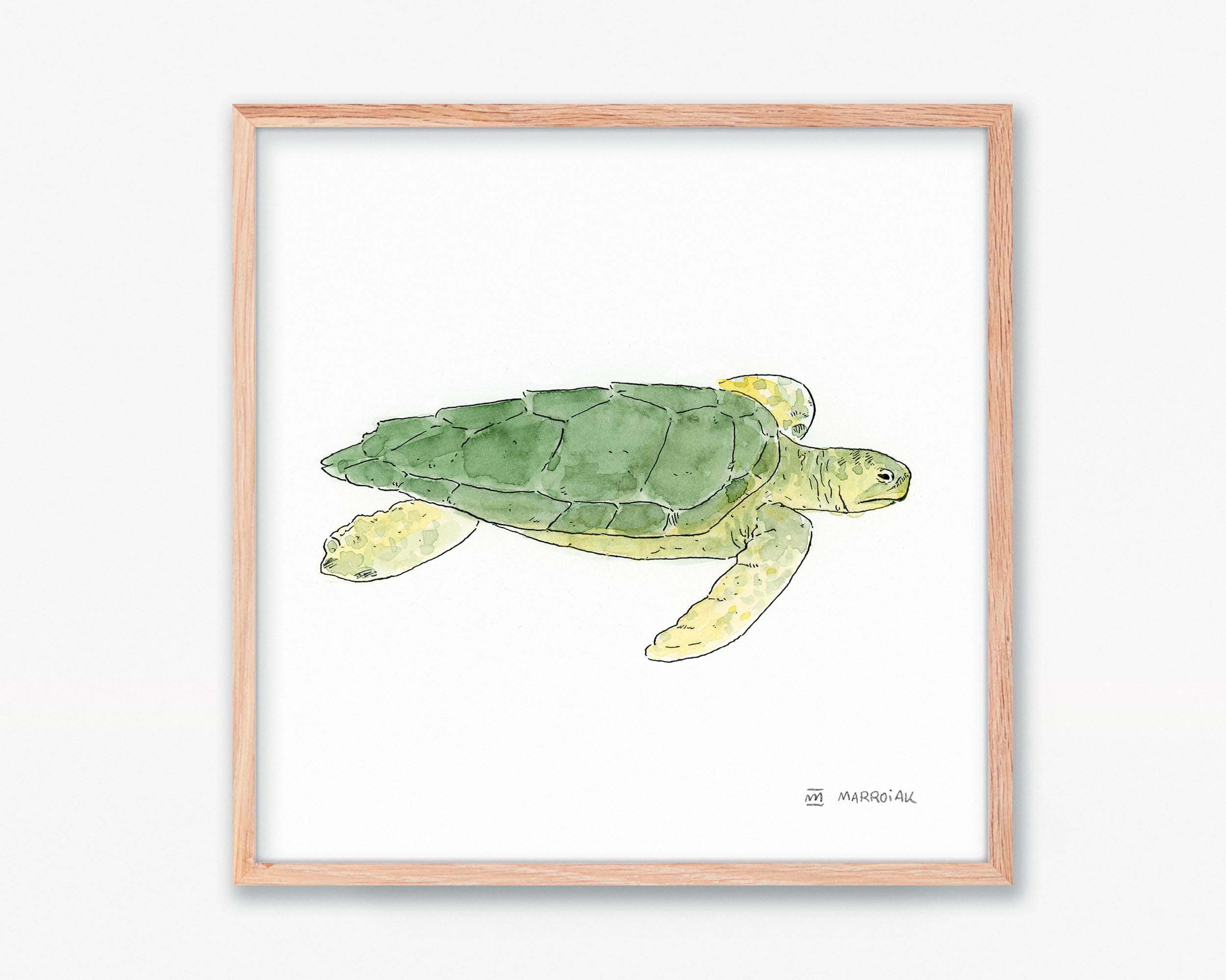Quadro con disegno ad acquerello di una tartaruga marina Caretta caretta. Stampa di animali marini.