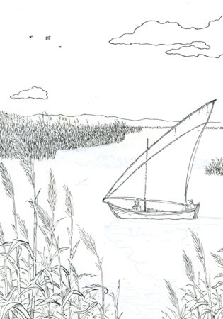 Disegno originale in bianco e nero dell'Albufera, Valencia, messo all'asta.