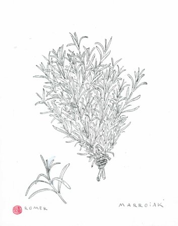 Disegno originale in bianco e nero di Romero