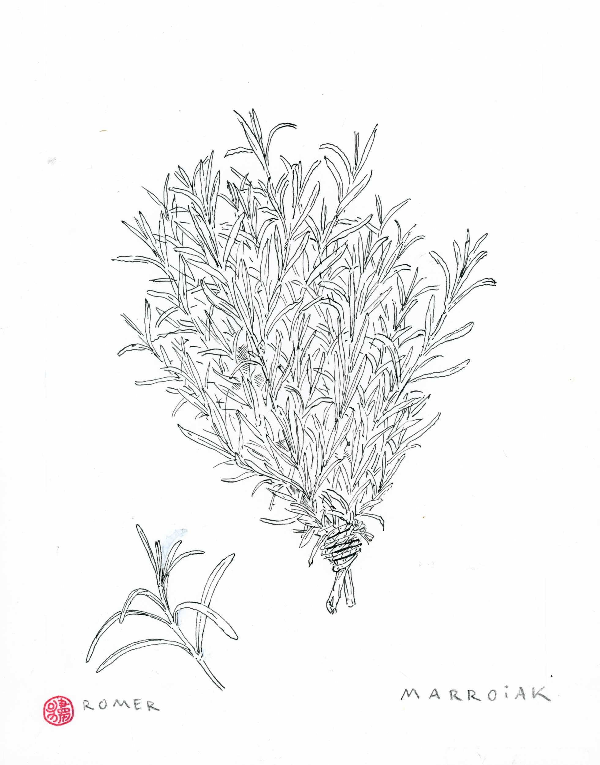 Disegno originale in bianco e nero di Romero