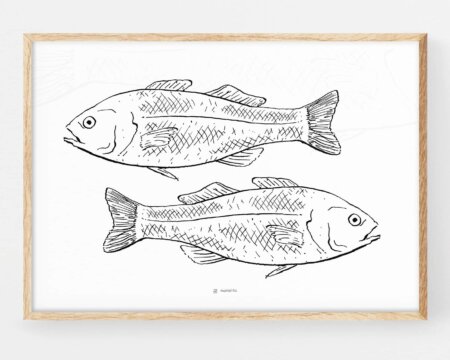 Black and white two fishes drawn in black and white. Elegant Scandinavian and Nordic decoration in light tones.