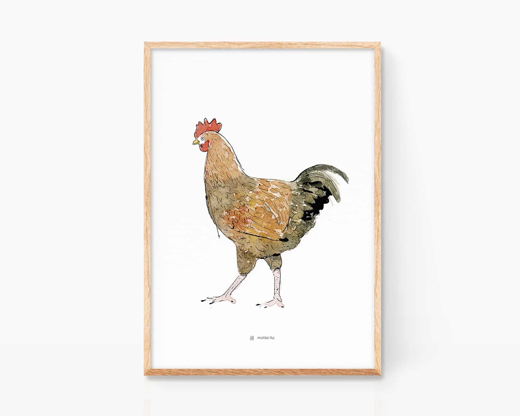 Stampa decorativa illustrata da incorniciare. Disegni di galline per la cucina. Stampa con illustrazione di animali da fattoria. Decorazione vintage con un gallo ad acquerello.