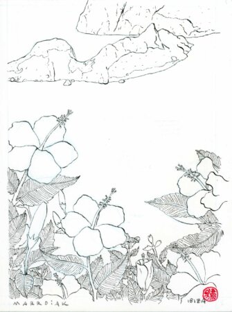 ibiscus in es vedra ibiza black and white drawing