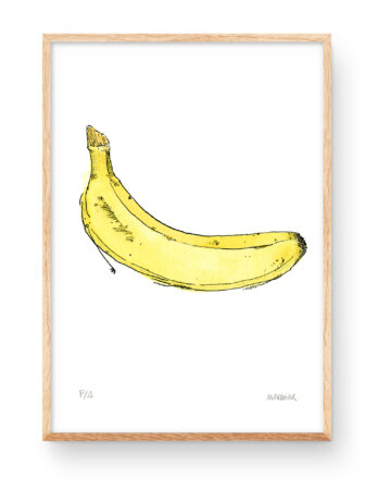 Banana illustration in watercolor and ink. Engraving signed, limited and numbered edition