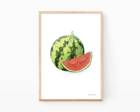 Watercolor illustration of the watermelon fruit (Meló d'Alger or sindria). Prints of plants for kitchen