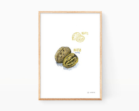 Stampa con il disegno di una noce per decorare la cucina. Illustrazioni di noci e piante