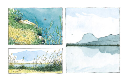 バレンシアのペゴ・オリバ湿地自然公園を描いた、漫画風イラスト入りの装飾画。自然を水彩で表現。