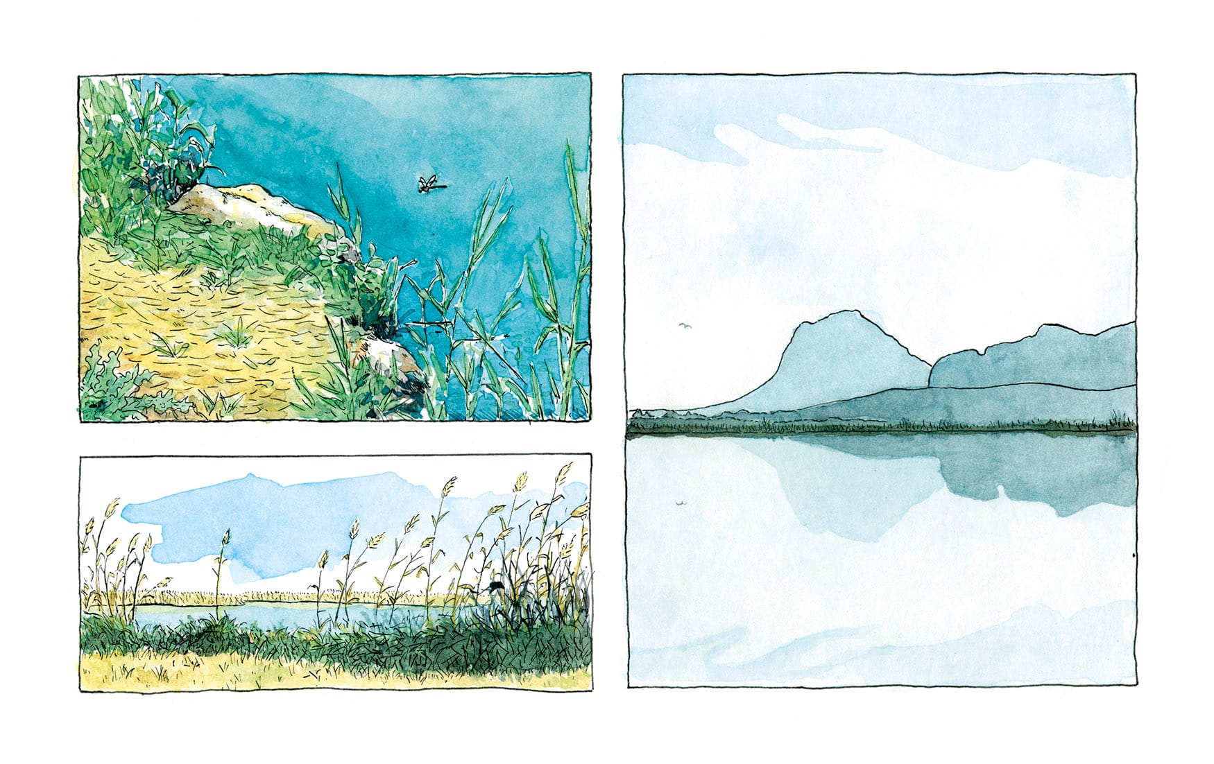 Dipinto decorativo con illustrazioni in stile fumetto del parco naturale delle zone umide di Pego-Oliva a Valencia. Acquerelli naturalistici