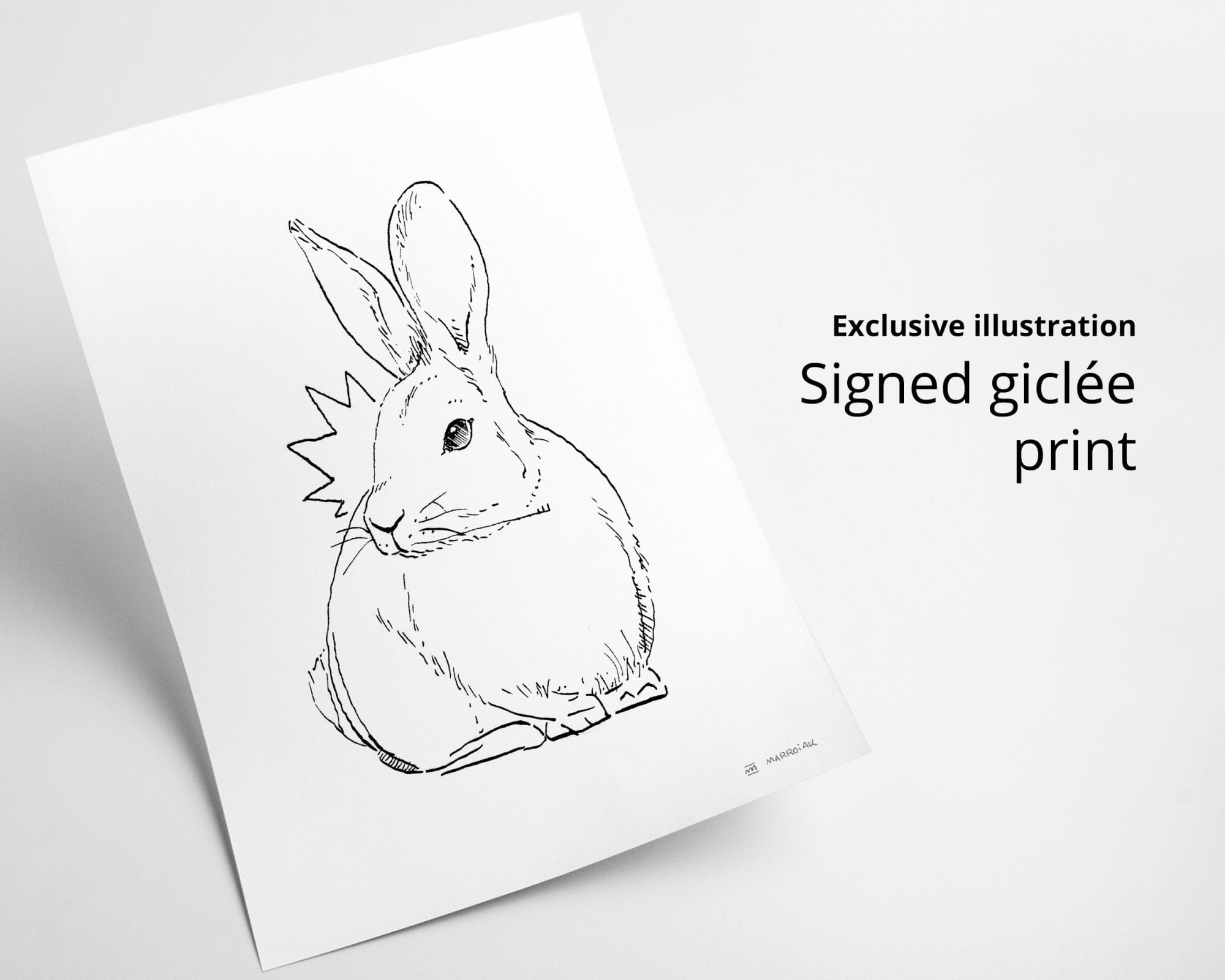 Conejo <small>(Conill - Oryctolagus cuniculus). Print dibujo en blanco y negro</small> - 画像 (3)