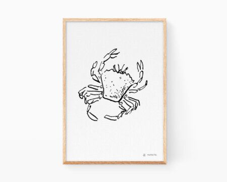 Stampe di animali marini. Stampa con l'illustrazione di un granchio di sabbia valenciano. Disegno in bianco e nero. Stampa decorativa da incorniciare.
