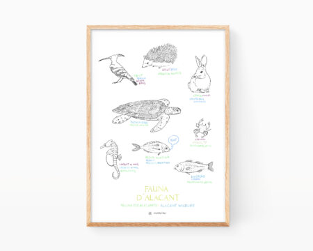 Fauna di Alicante