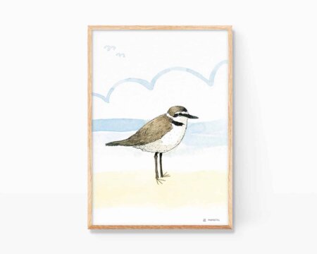 Cornice portafoto con l'illustrazione di un piviere di Kent (Corriol camanegre in valenciano) su una spiaggia di Valencia. Disegni di animali per camerette e per gli amanti della natura.