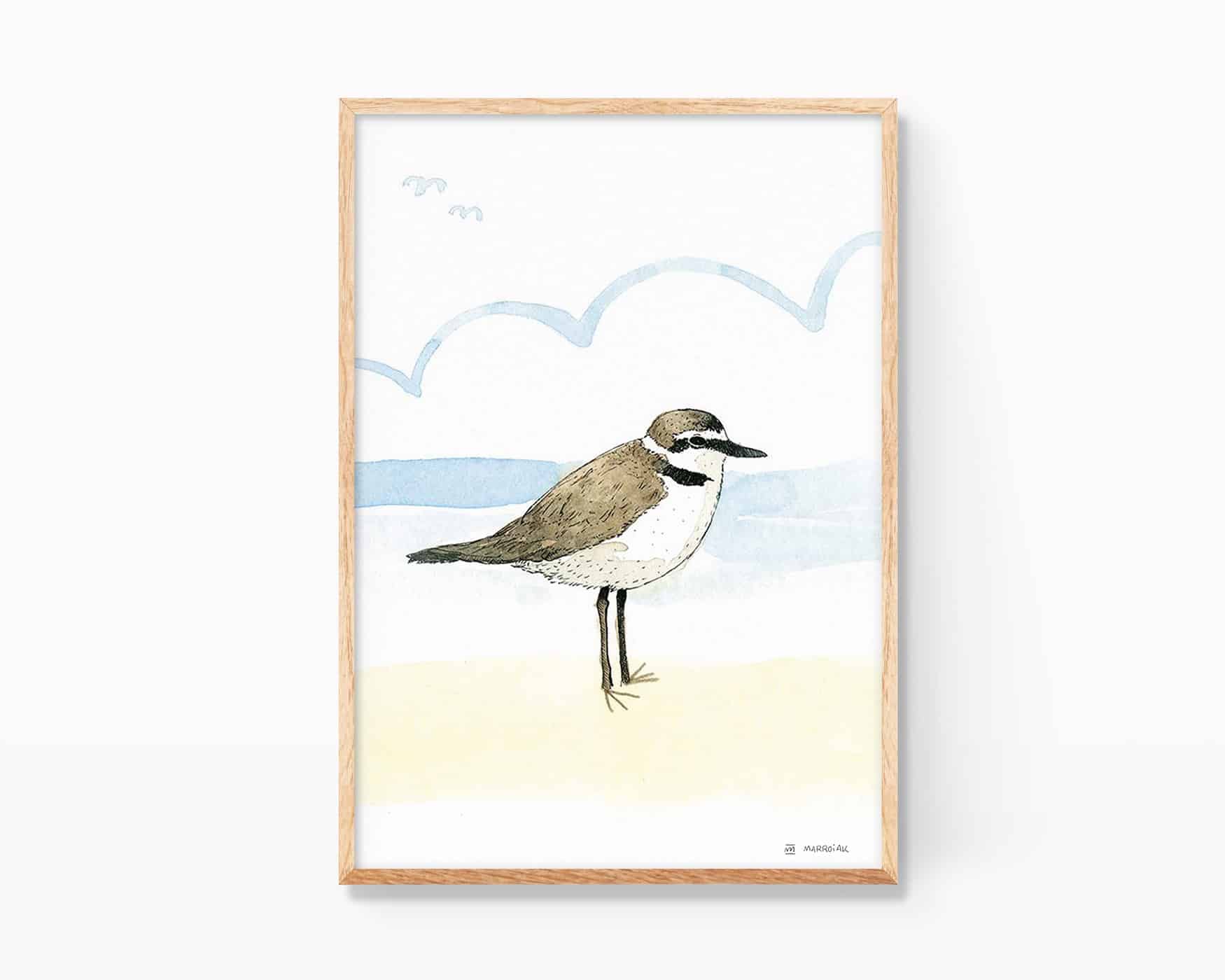Cornice portafoto con l'illustrazione di un piviere di Kent (Corriol camanegre in valenciano) su una spiaggia di Valencia. Disegni di animali per camerette e per gli amanti della natura.