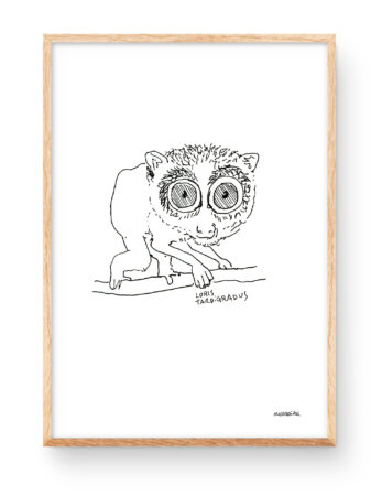 Stampa di un loris gracile rosso (Loris tardigradus). Illustrazione minimalista e moderna in bianco e nero.