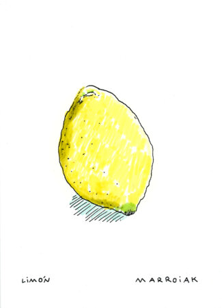 Limone semplice disegno originale