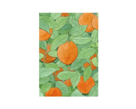 バレンシア産オレンジを描いたオリジナルの水彩画。バレンシア文化をモチーフにした、モダンで現代的なインテリアにぴったりの装飾絵画です。.