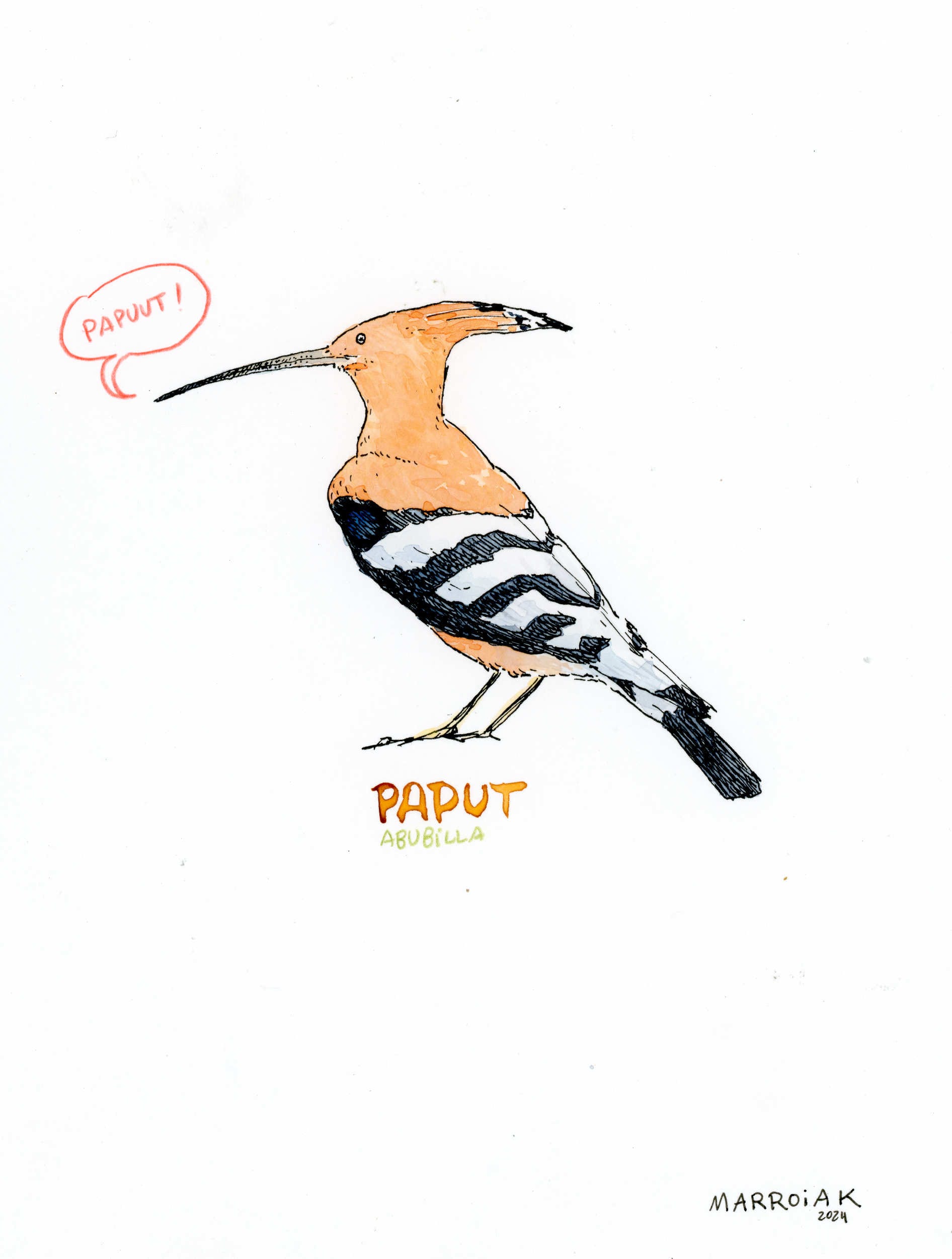 Disegno ad acquerello di Paput marroiak, asta originale