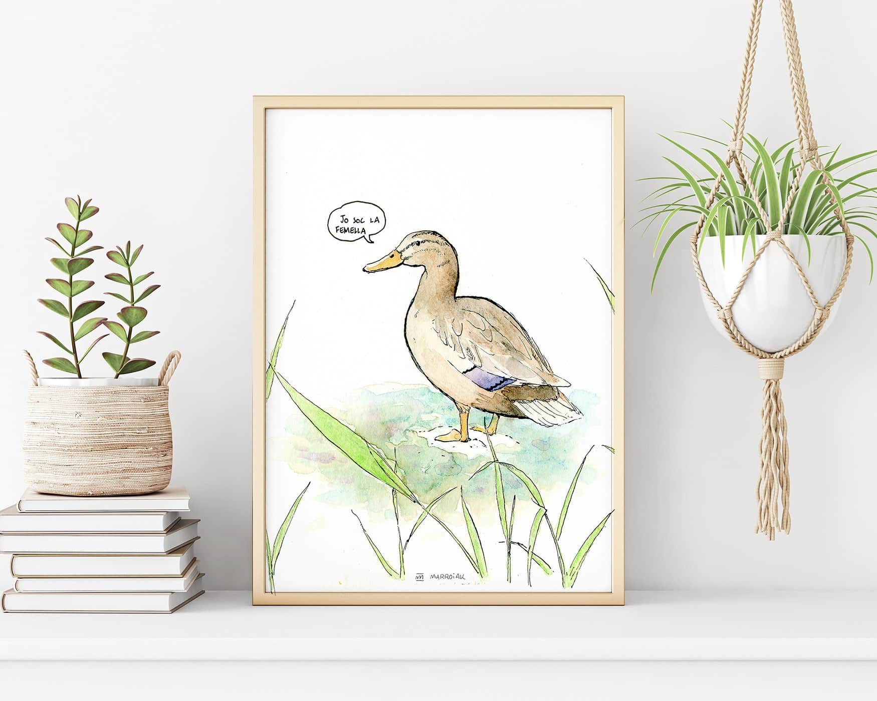 Pato de collar hembra <small>(Ànec collverd - Anas platyrhynchos). Print ilustración en acuarela</small> - immagine 3