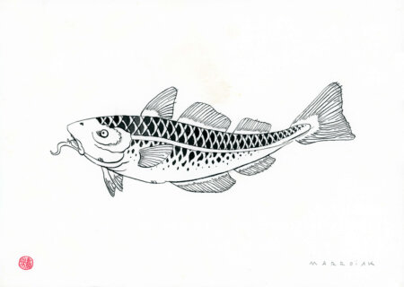 Disegno originale a inchiostro di pesce in stile giapponese all'asta