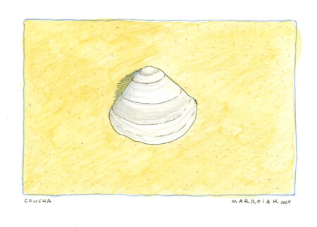 cartolina conchiglia disegno ad acquerello spiaggia