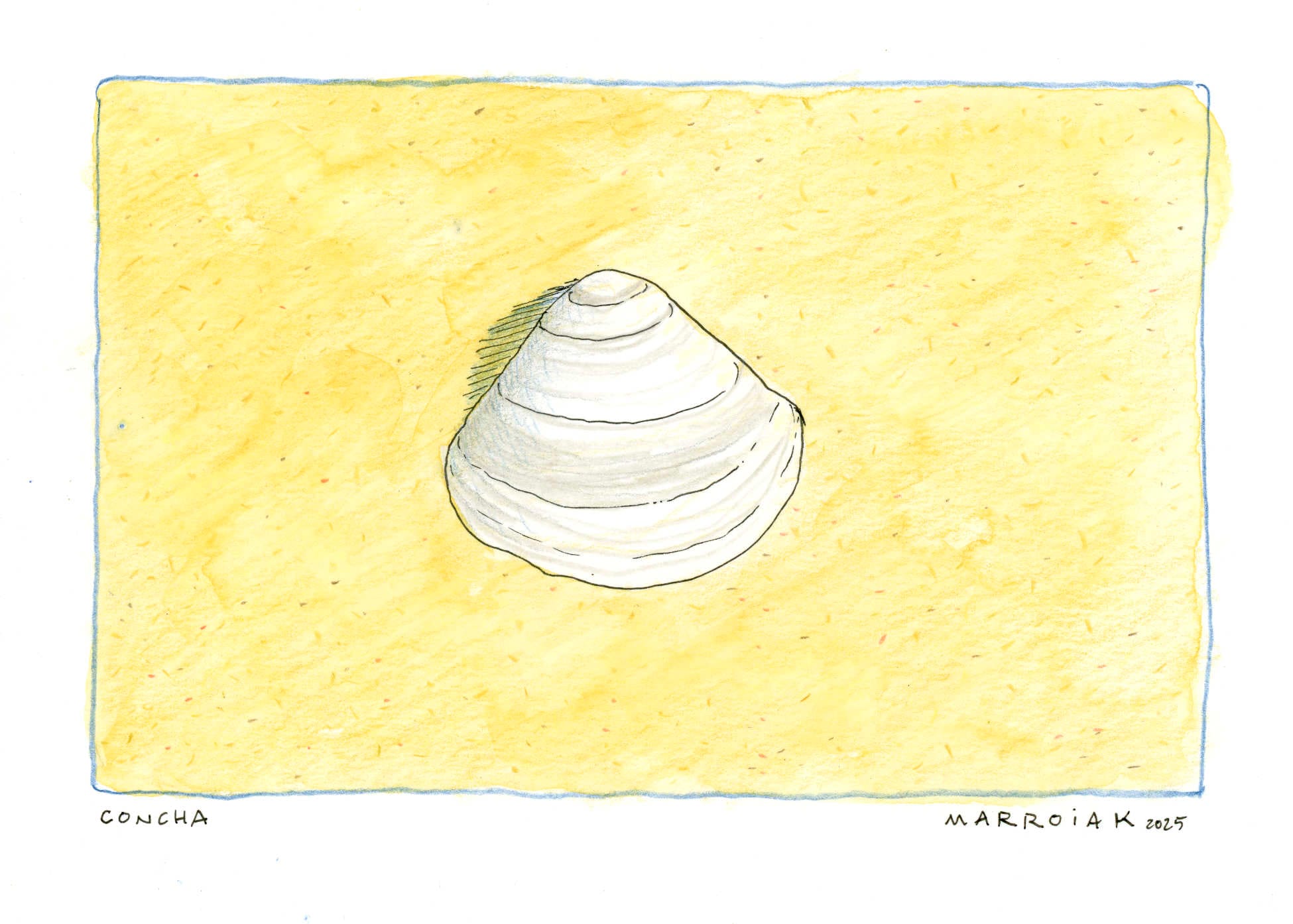 cartolina conchiglia disegno ad acquerello spiaggia