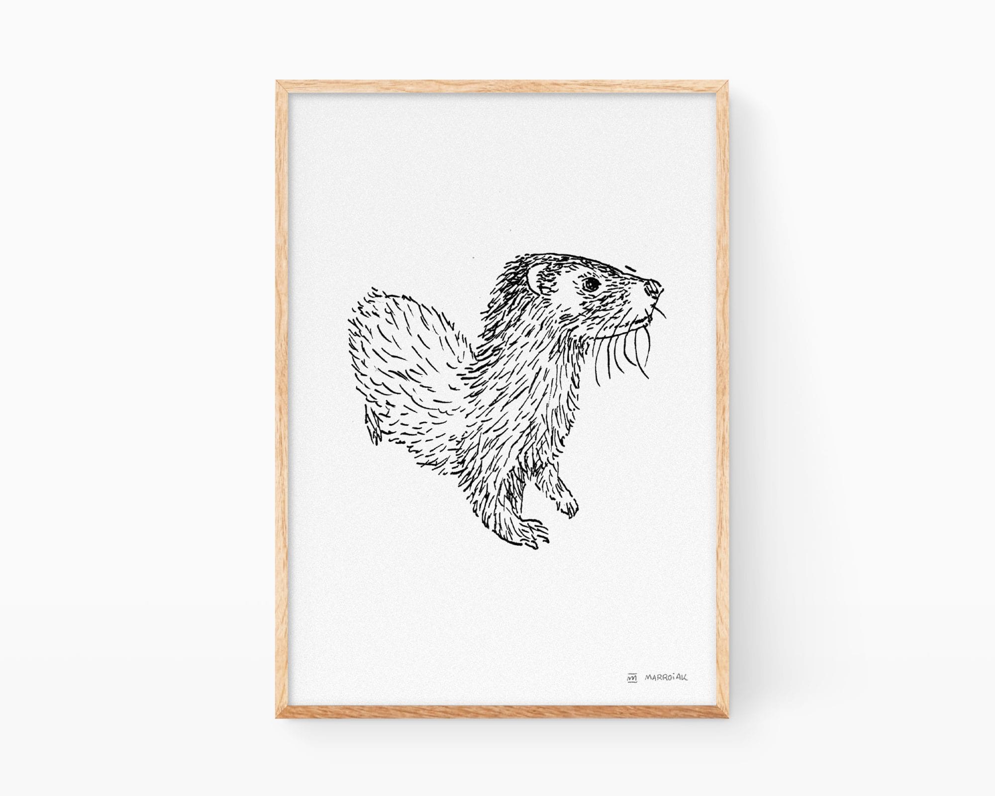 Stampa con disegno di una lontra. Illustrazioni naturalistiche della Comunità Valenciana e della Spagna. Immagini in bianco e nero.