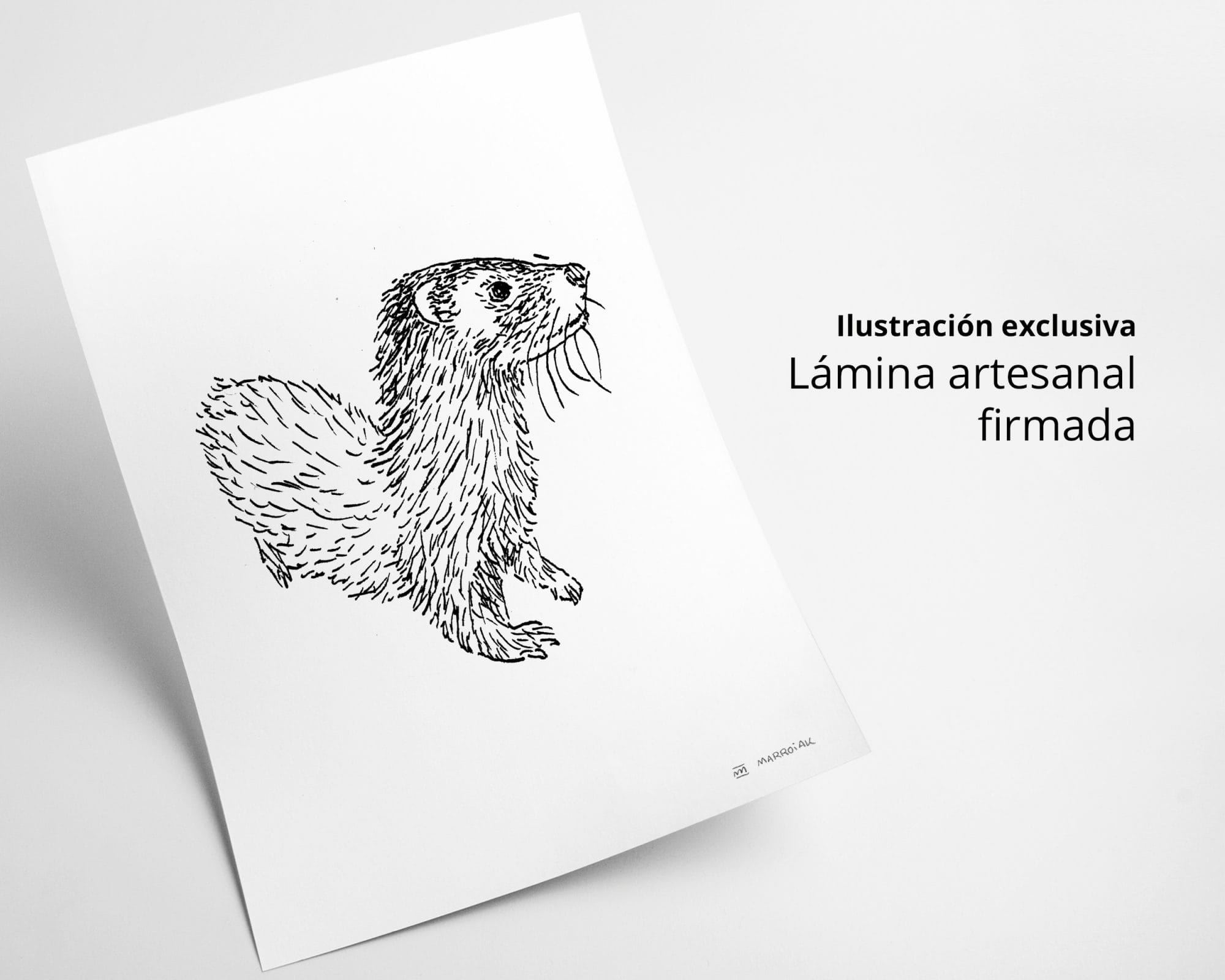 Nutria <small>(Llúdria - Lutra lutra). Print dibujo en blanco y negro</small> - immagine 2