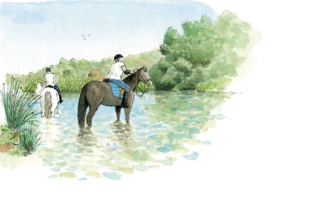 Disegno di due cavalli nel fiume Bullent nel Parco Naturale Marjal Pego Oliva. Valencia