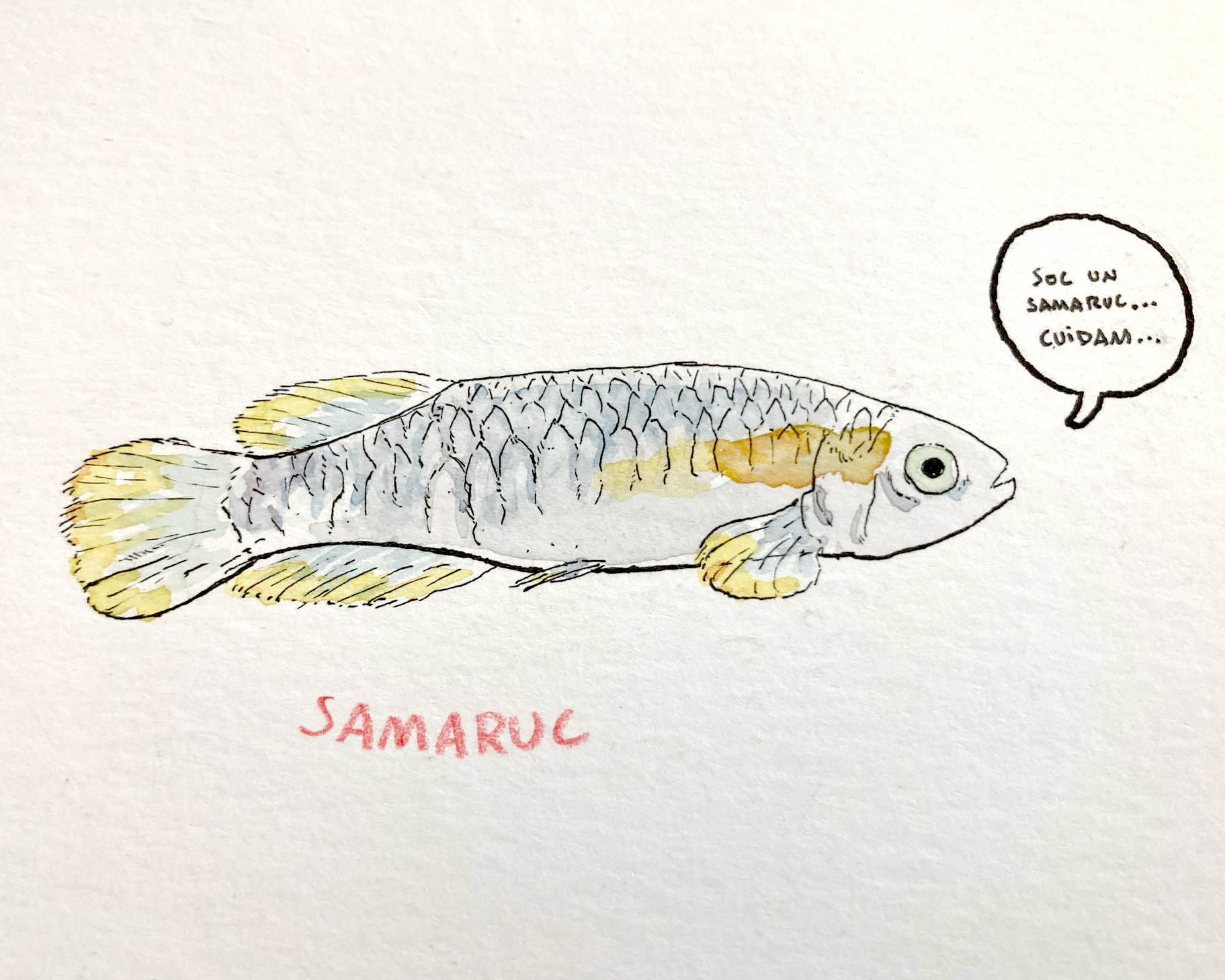 Asta di disegni dettagliati di Samaruc