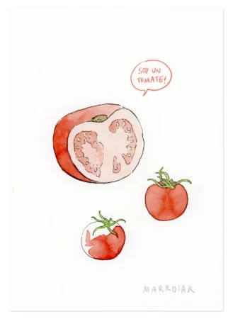 Sono un pomodoro originale in un'asta di illustrazioni