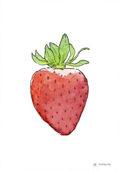 strawberry watercolor drawing