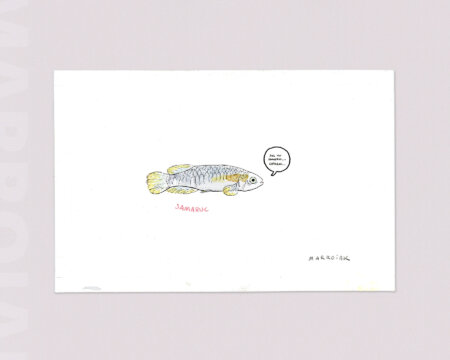 marroiak samaruc drawing art auction