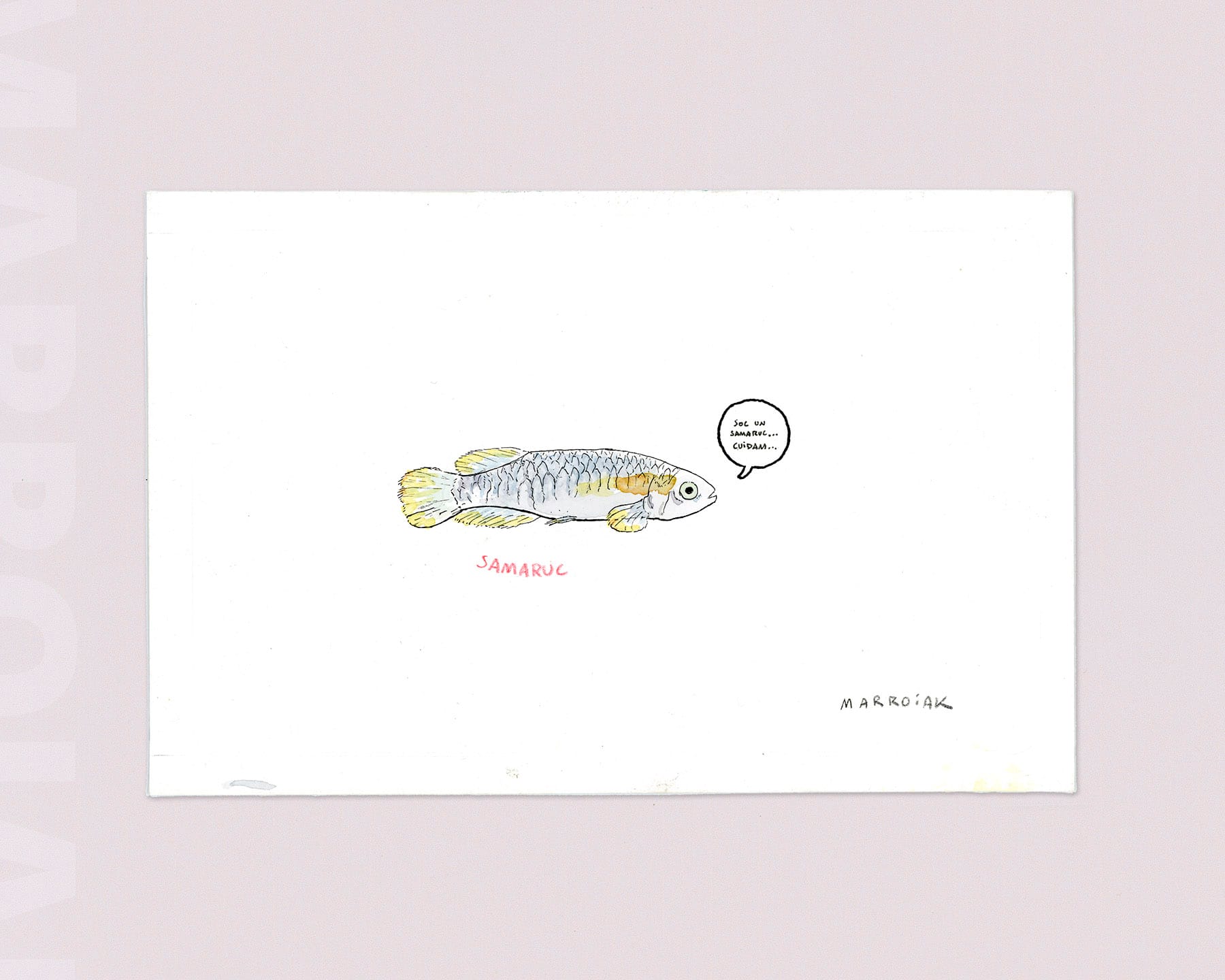 asta di disegni artistici marroiak samaruc